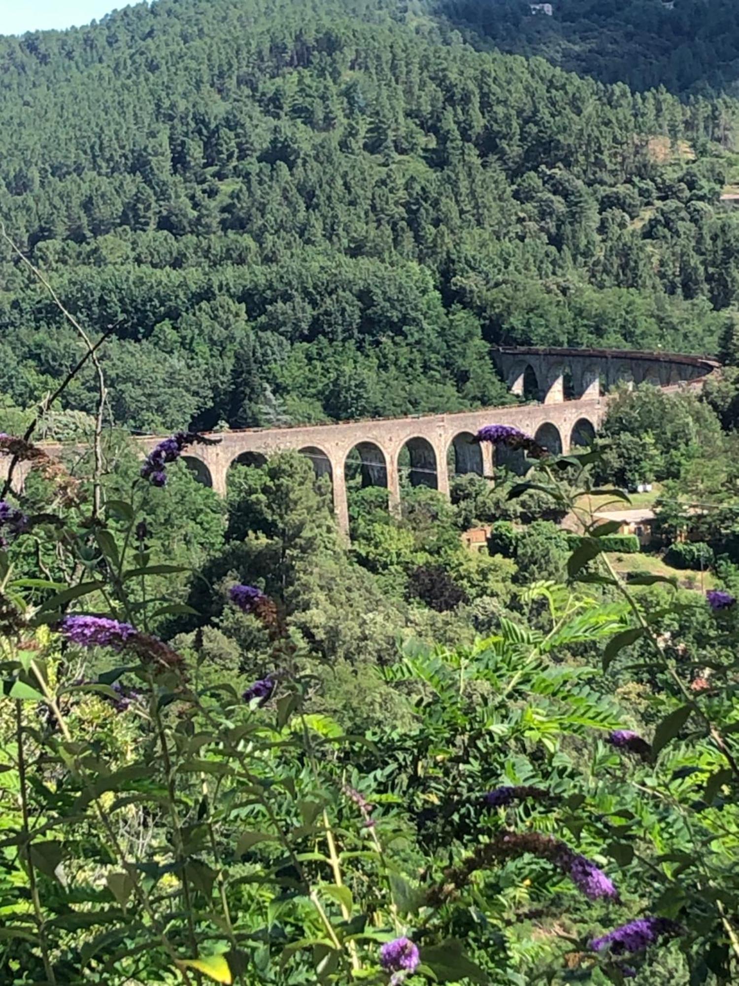 Gite Mas La Tabatiere Chamborigaud Buitenkant foto